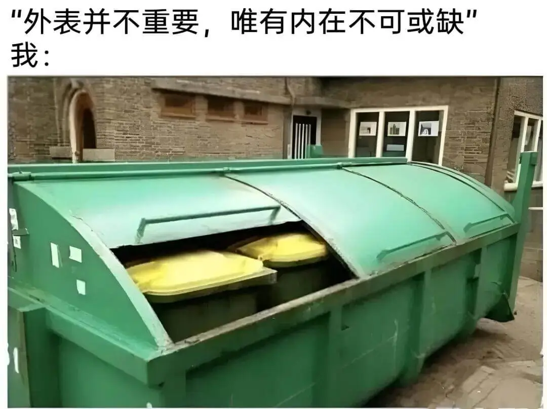 外表并不重要，唯有内在不可或缺。我：