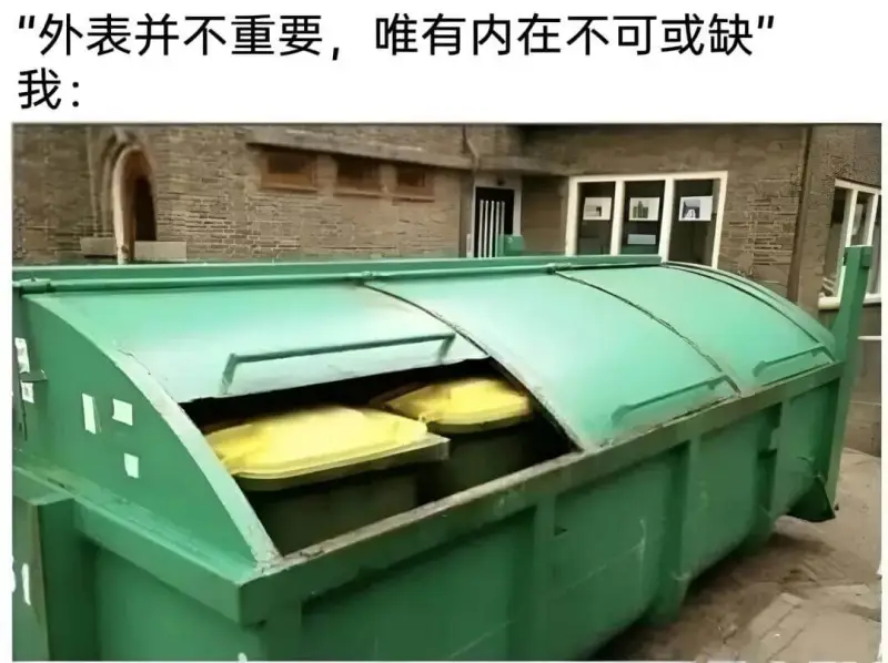 外表并不重要，唯有内在不可或缺。我：