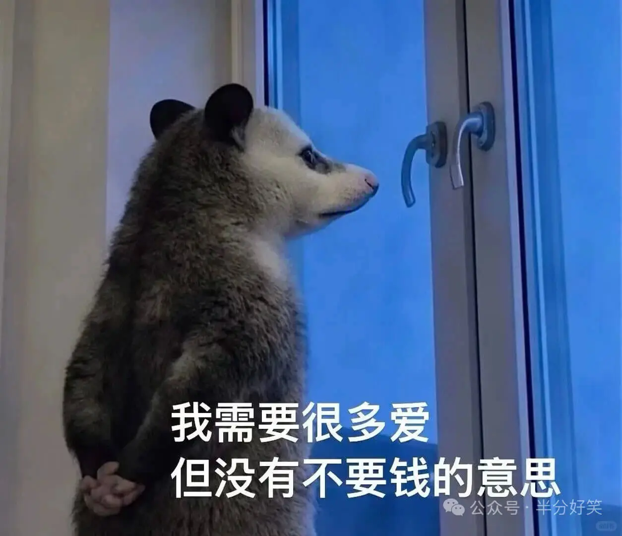 负鼠还是那么权威，字字句句戳心窝，越戳越疼😭