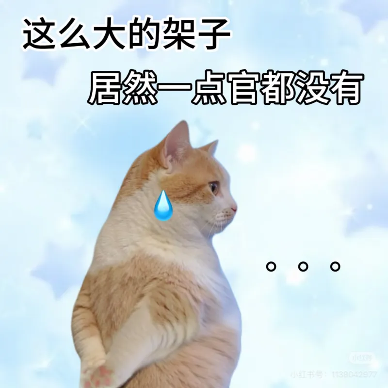 好大的威withouta官～