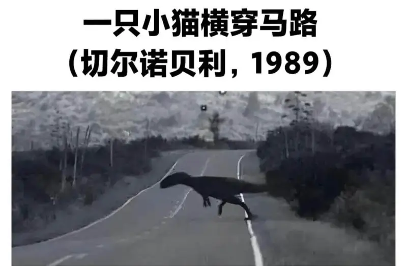 一只小猫横穿马路（切尔诺贝利，1989）