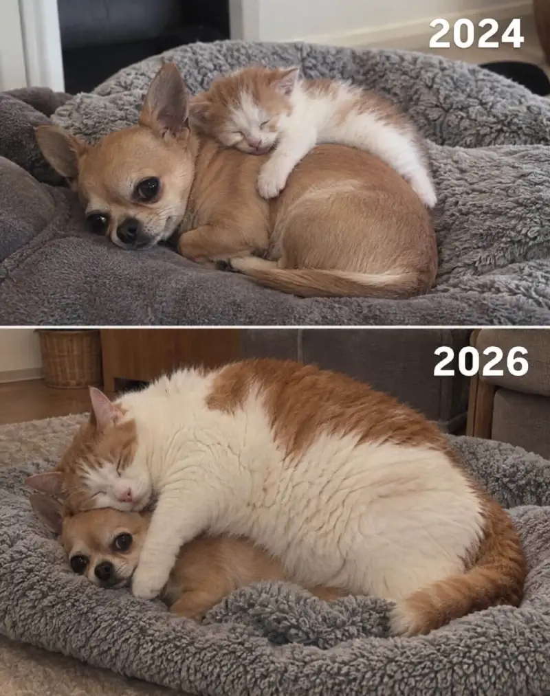风水轮流转2.0😹😹