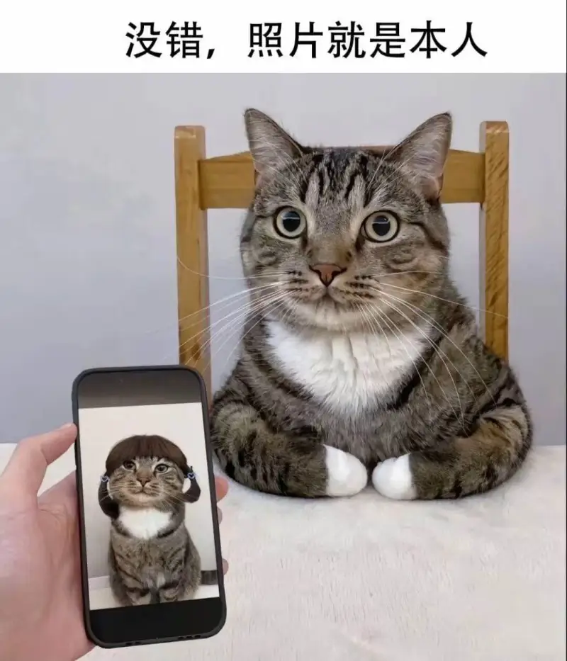 没错，照片就是本人