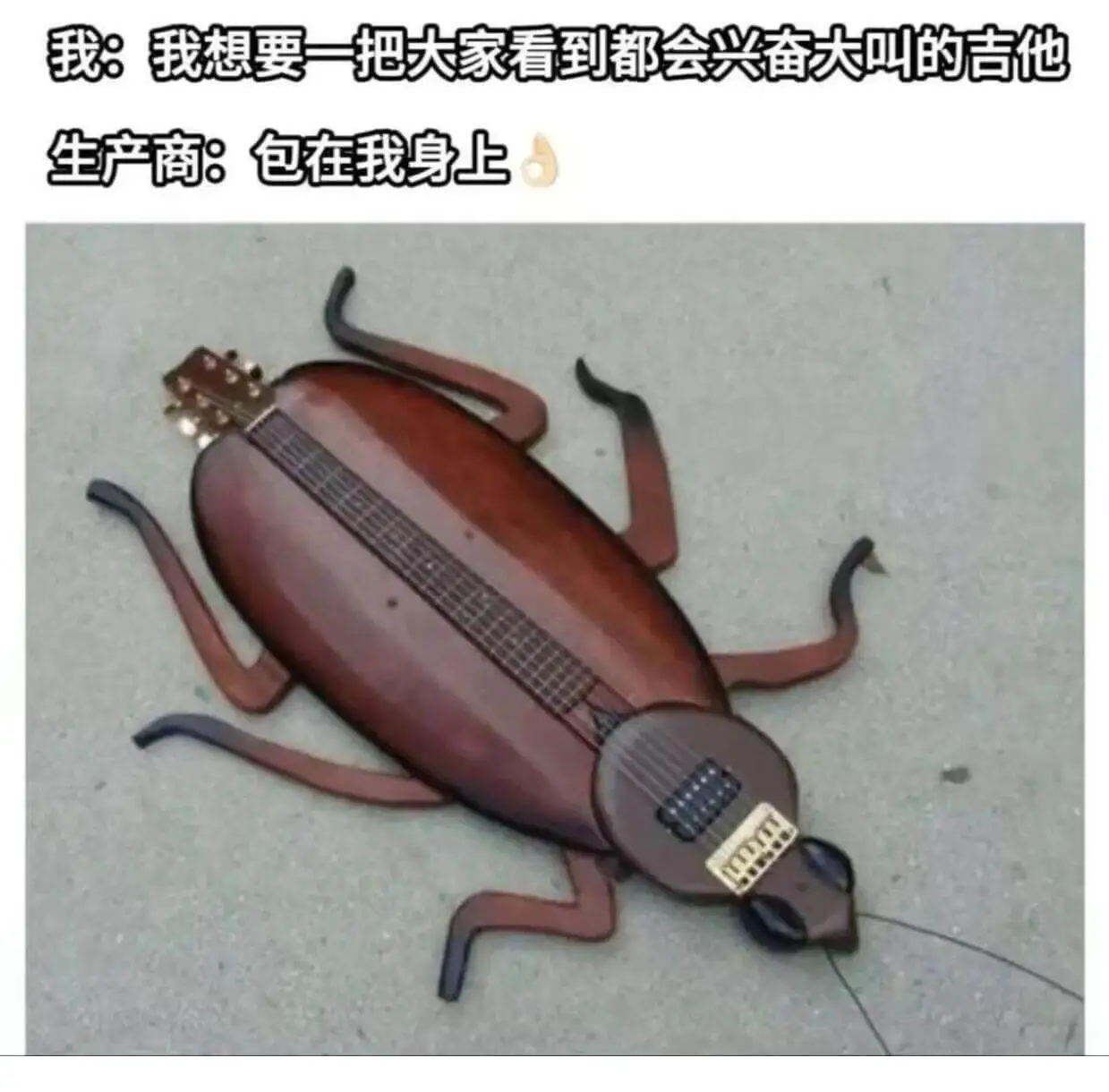 我：我想要一把大家看到都会兴奋大叫的吉他生产商：包在我身上