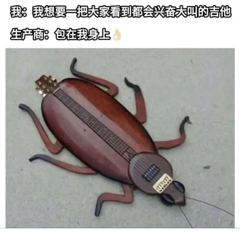我：我想要一把大家看到都会兴奋大叫的吉他生产商：包在我身上