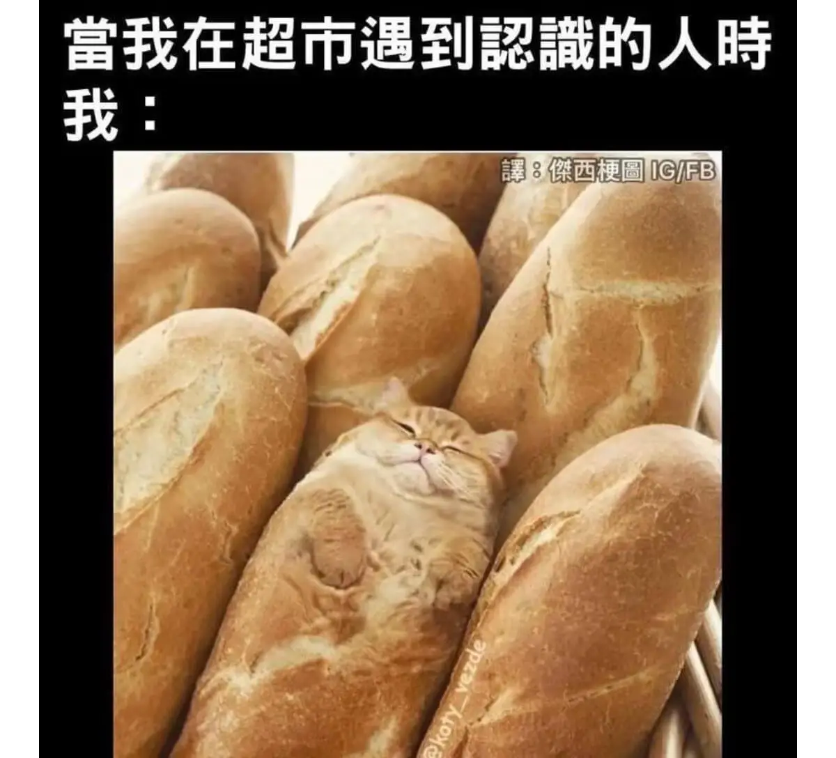 當我在超市遇到認識的人時：譯：傑西梗圖IG/FB
