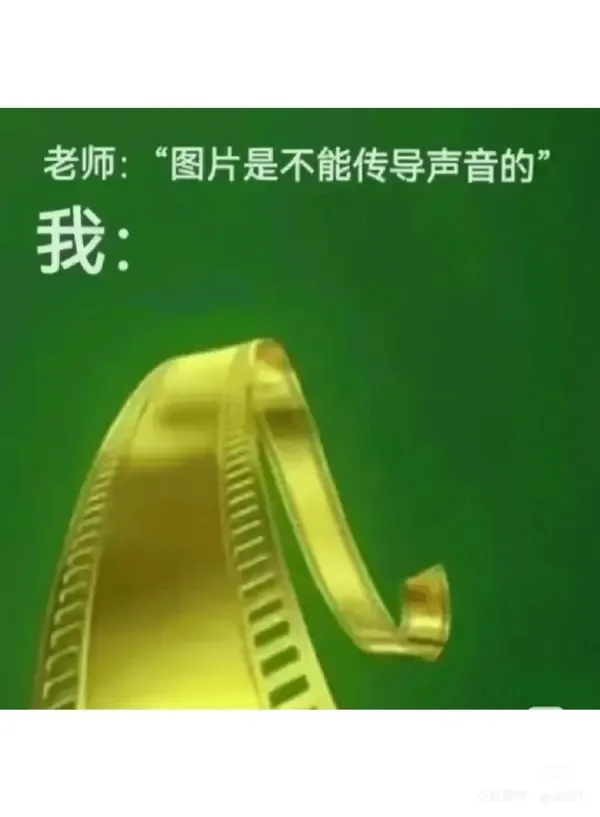 老师：“图片是不能传导声音的”我：