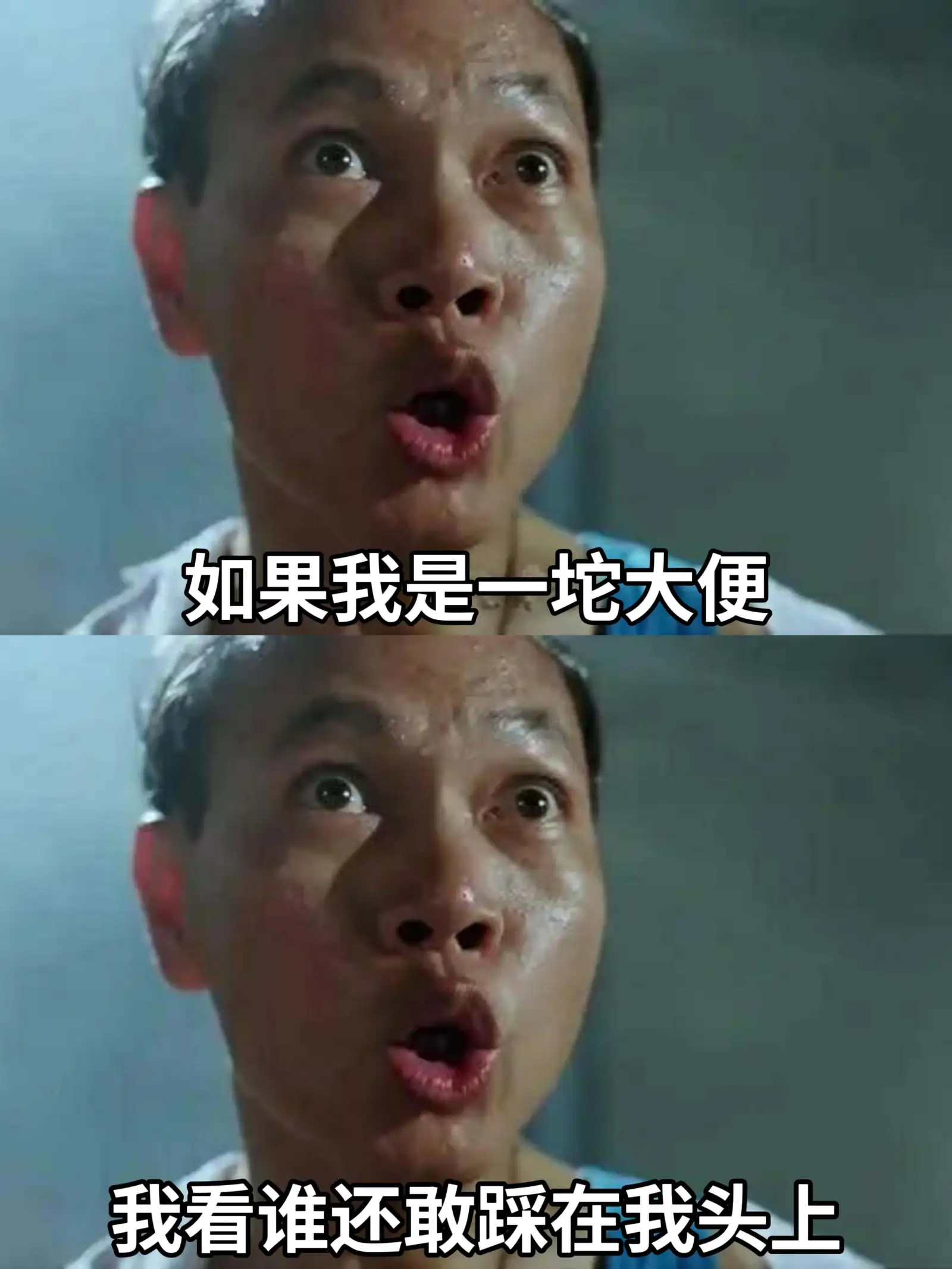 如果我是一坨大便我看谁还敢踩在我头上