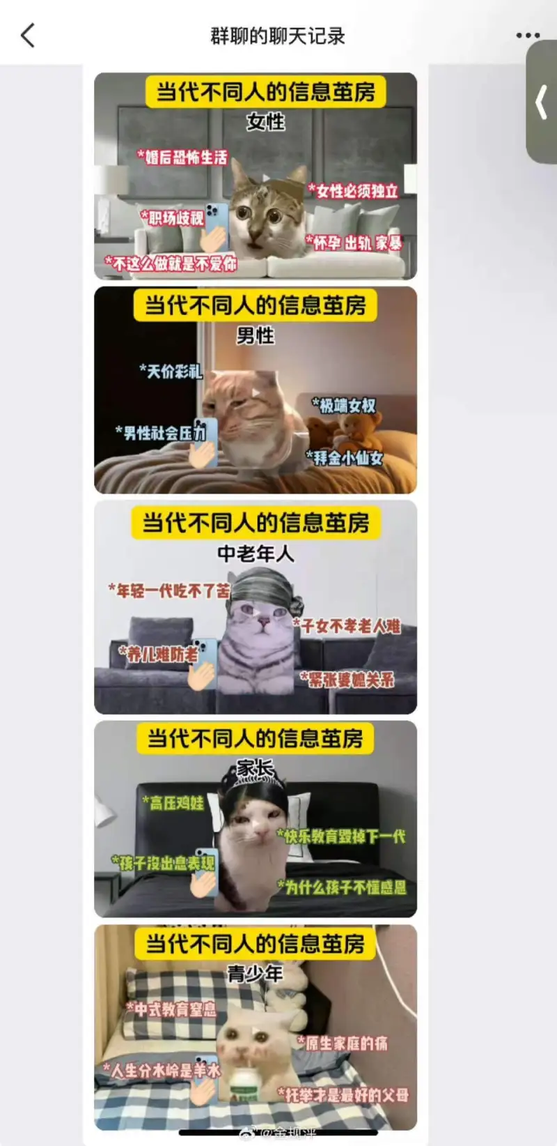 群聊的聊天记录当代不同人的信息茧房女性*婚后恐怖生活*女性必