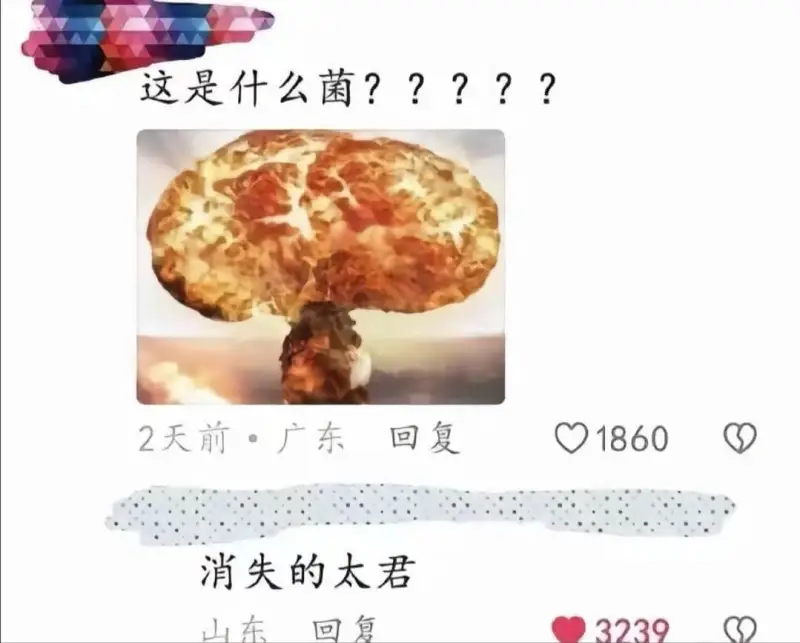 梗图