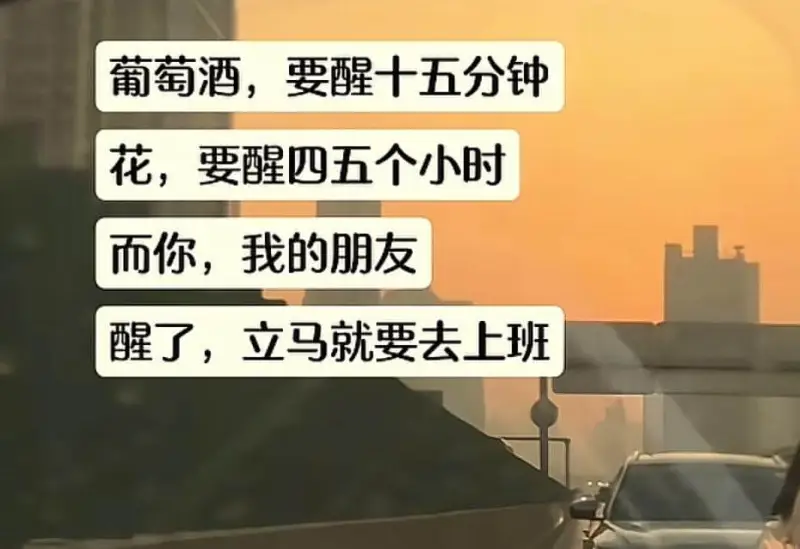葡萄酒，要醒十五分钟花，要醒四五个小时而你，我的朋友，醒了，