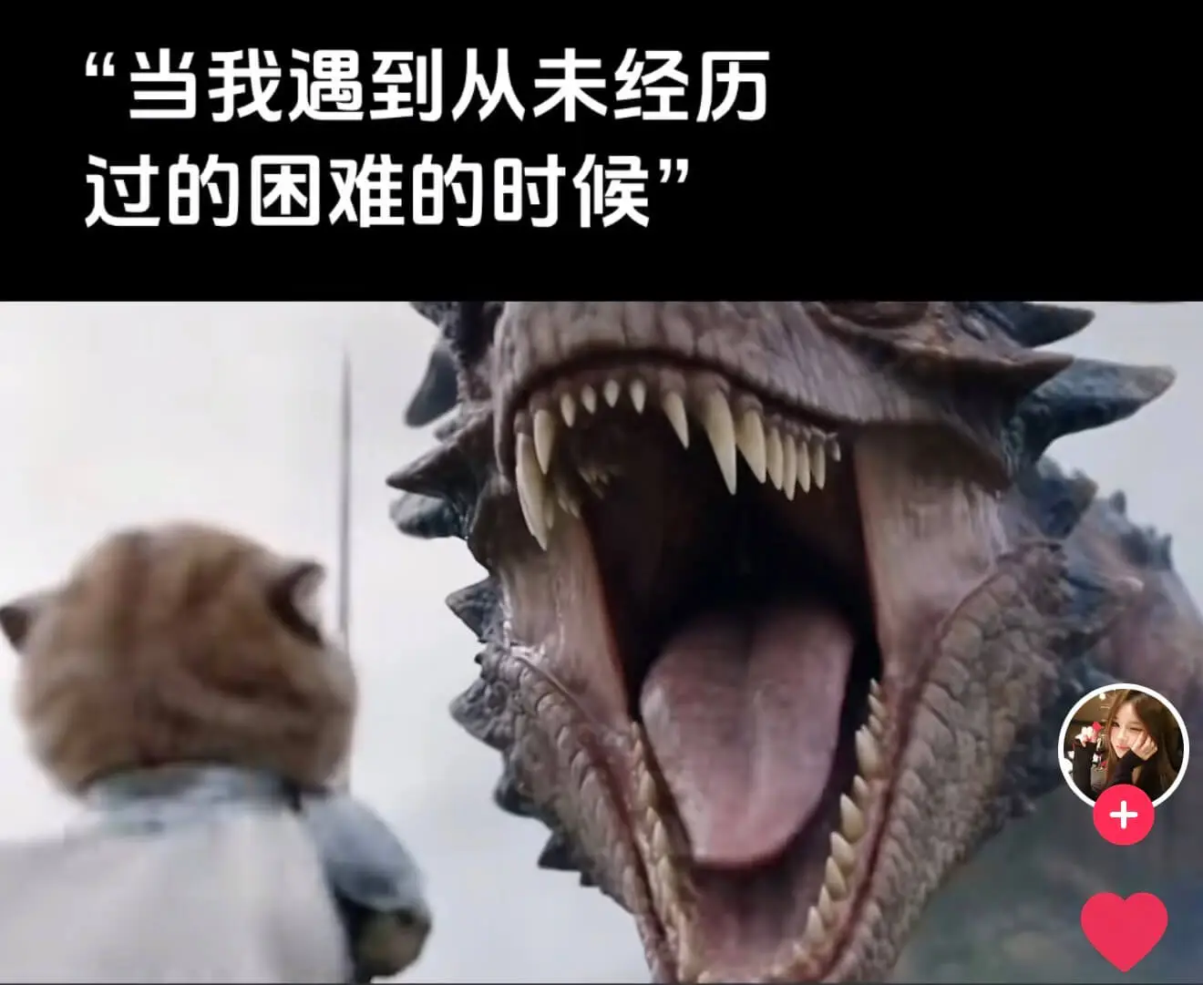 这个铠甲猫咪系列太有梗了