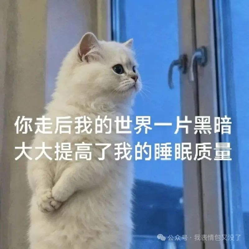 梗图