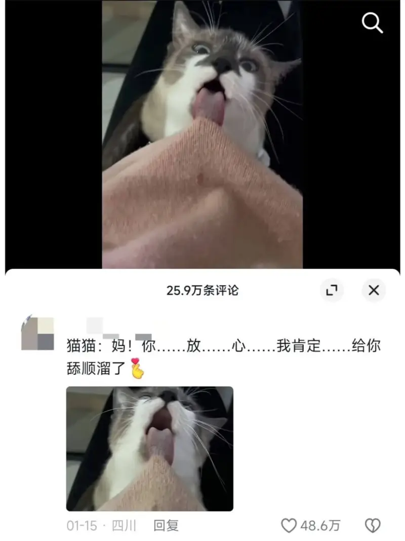 25.9万条评论X猫猫:妈!你舔顺溜了01-15·四川回复4