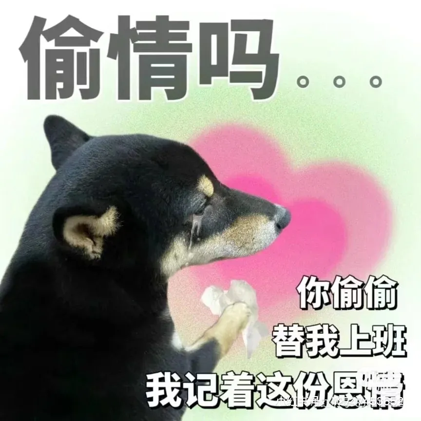 看着今天会议的照片，哥们的屁股好翘