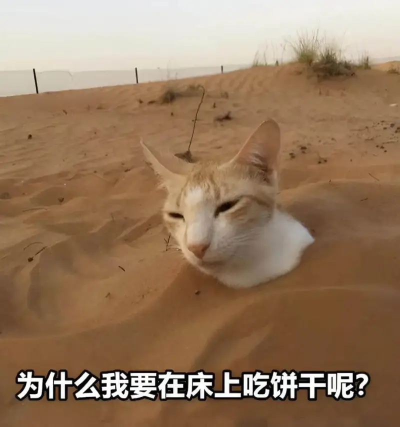 为什么我要在床上吃饼干呢？