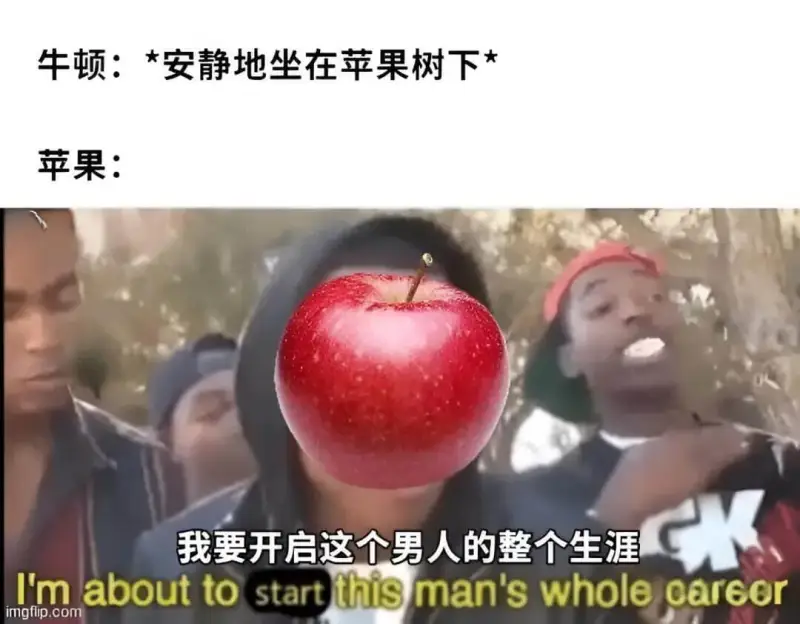 牛顿：*安静地坐在苹果树下苹果：我要开启这个男人的整个生涯I