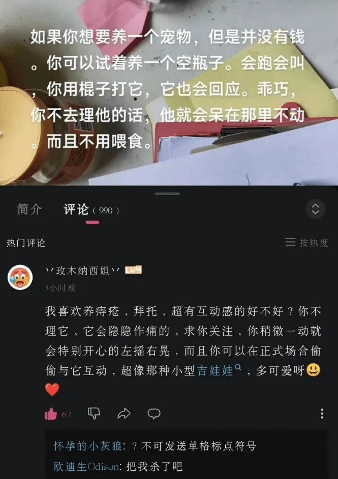 如果你想要养一个宠物，但是并没有钱，你可以试着养一个空瓶子。