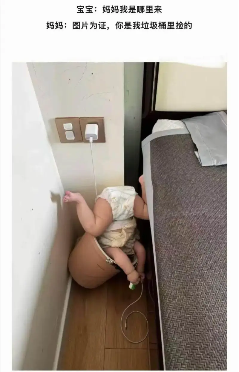 宝宝：妈妈，我是哪里来的？妈妈：图片为证，你是我垃圾桶里捡的