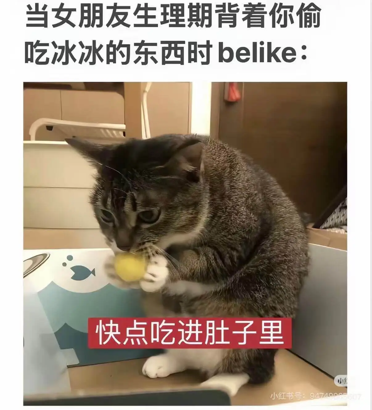梗图