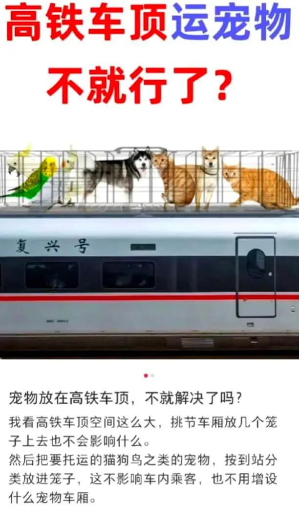 高铁车顶运宠物？不行。复兴号：宠物放在高铁车顶，不就解决了吗