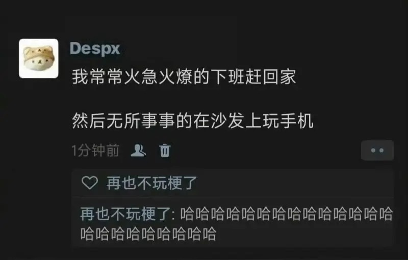 Despx我常常火急火燎的下班赶回家，然后无所事事的在沙发上