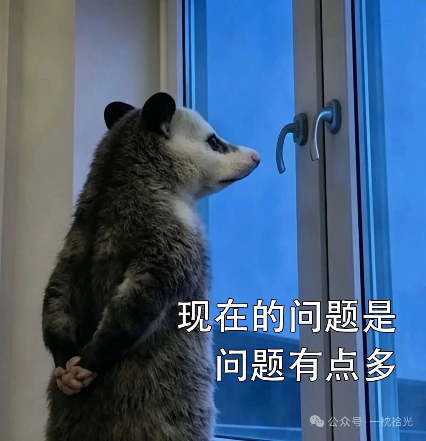 一个人的夜，我的钱应该放在哪里