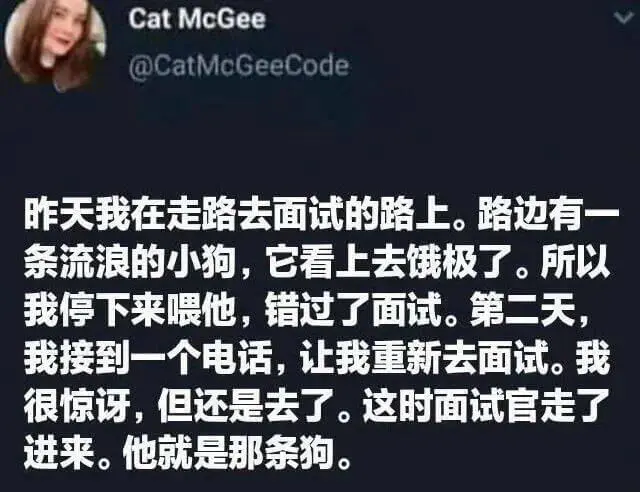 CatMcGee@CatMcGeeCode天我在走路去面试的