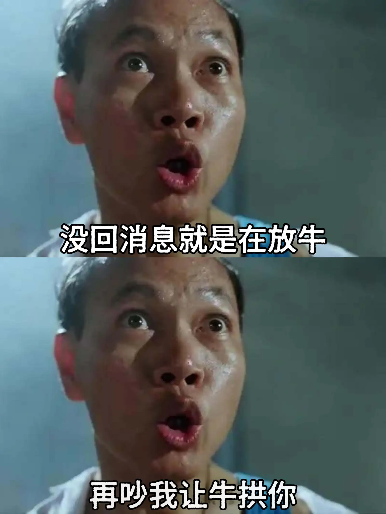 没回消息就是在放牛。再吵我让牛拱你。