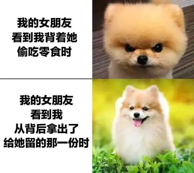 我的女朋友看到我背着她偷吃零食时我的女朋友看到我从背后拿出了