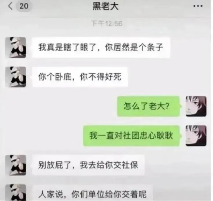 下午12:56我真是瞎了眼了，你居然是个条子。你个卧底，你不