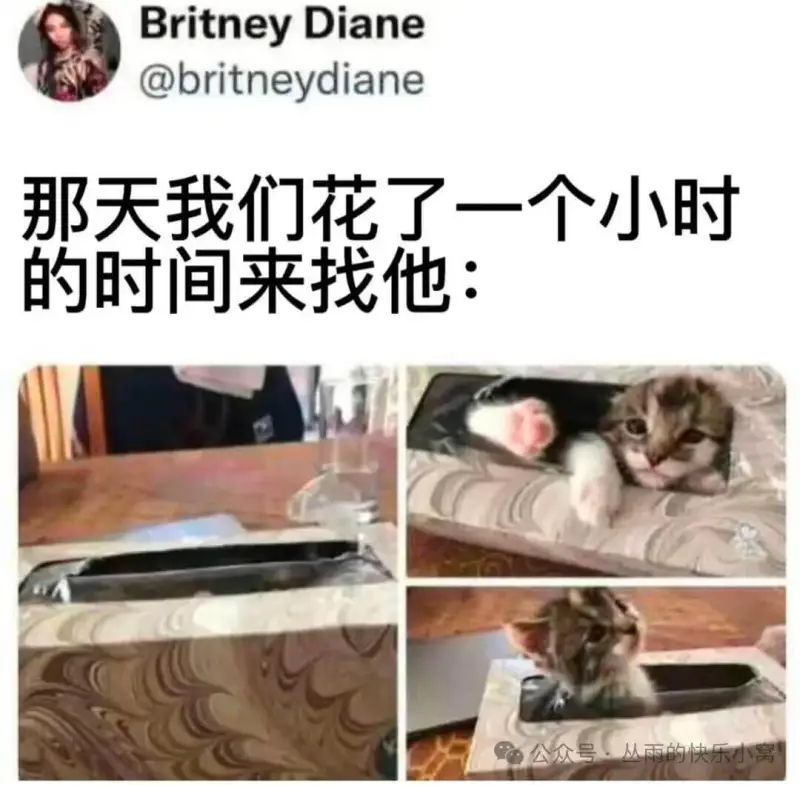 BritneyDiane@britneydiane那天我们花