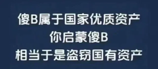 傻B属于国家优质资产你启蒙傻B，相当于是盗窃国有资产