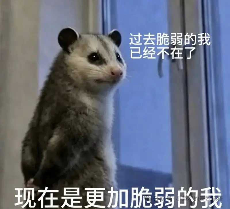 梗图