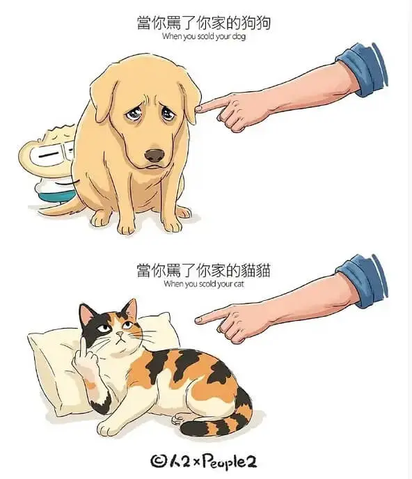 梗图