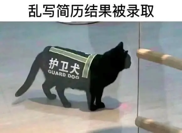 乱写简历结果被录取护卫犬GUARDDOG
