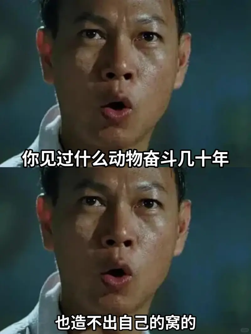 你见过什么动物奋斗几十年也造不出自己的窝的