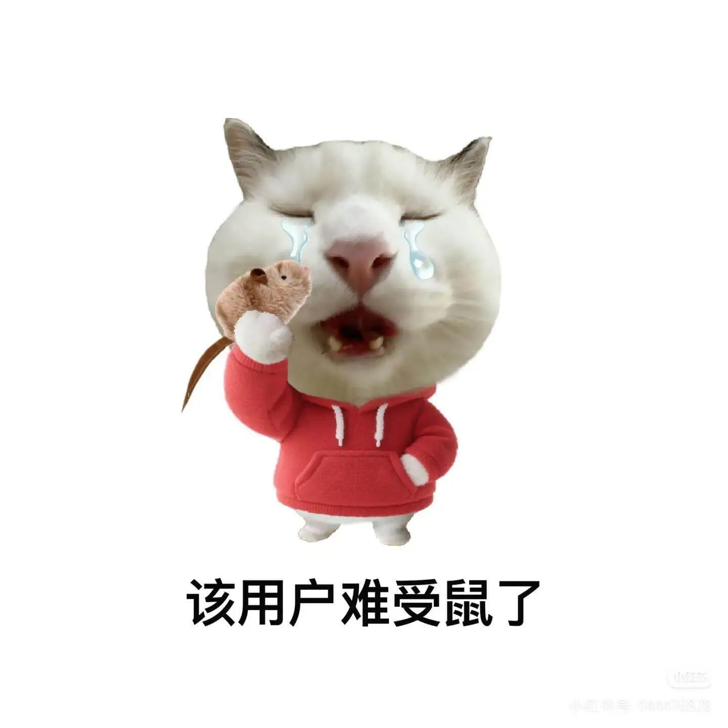 该用户难受鼠了小红书号：944476828