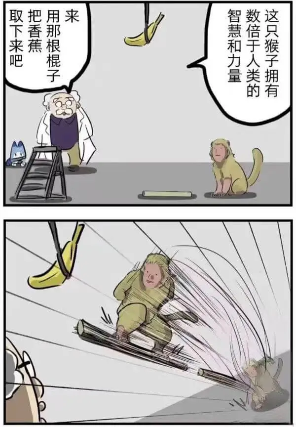 取下来吧把香蕉这只猴子拥有智慧和力量数倍于人类的