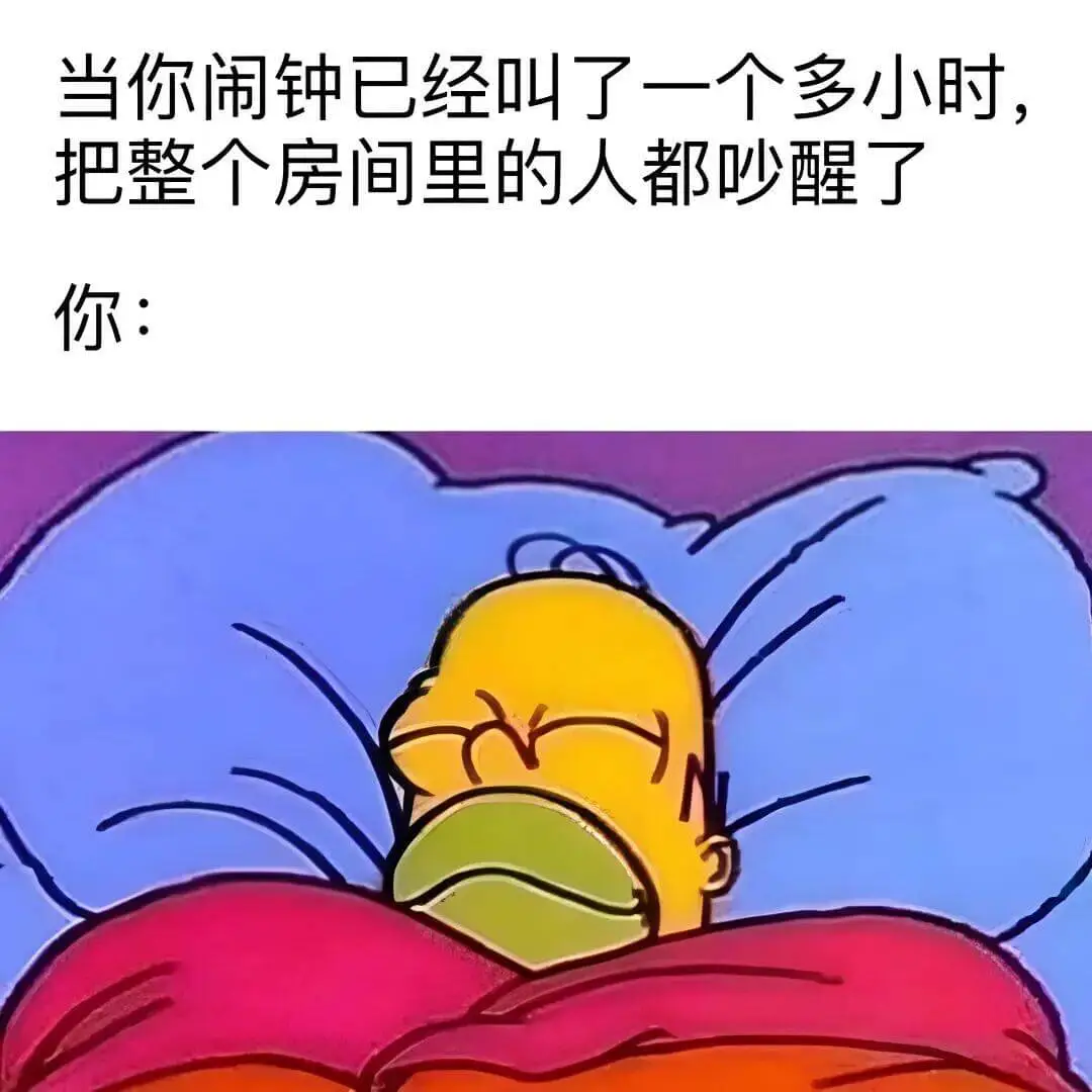 当你闹钟已经叫了一个多小时，把整个房间里的人都吵醒了。你：
