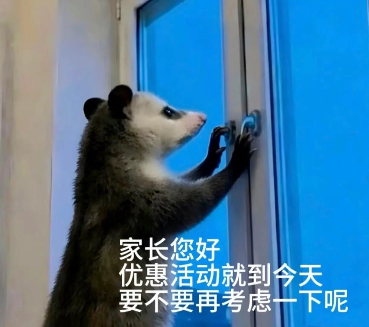 家长您好,优惠活动就到今天,要不要再考虑一下呢?