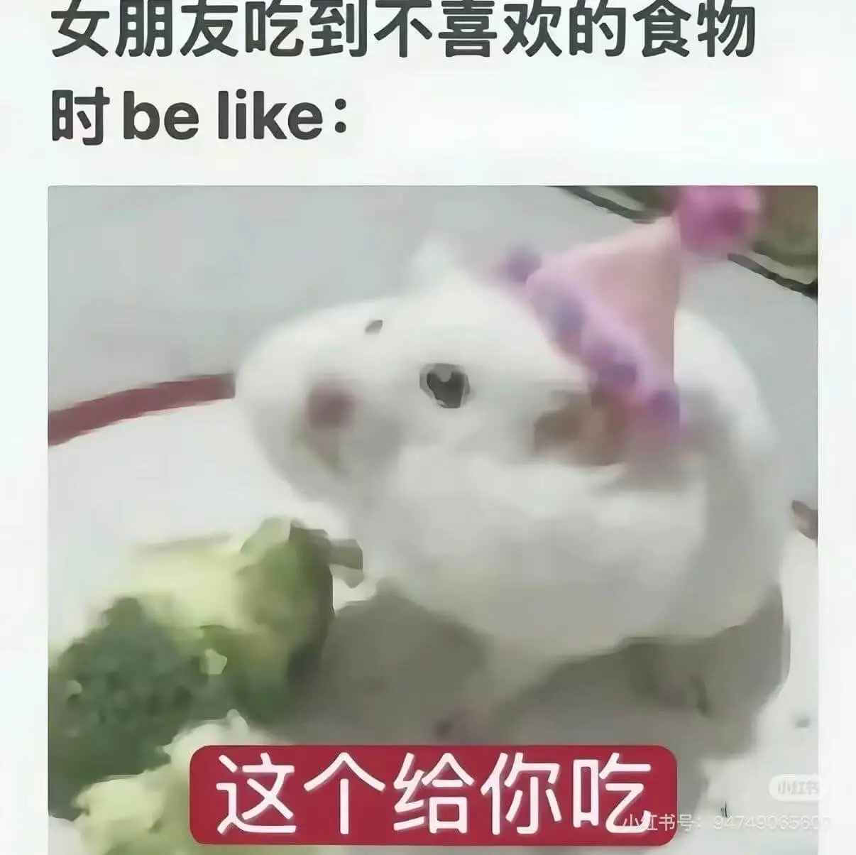梗图