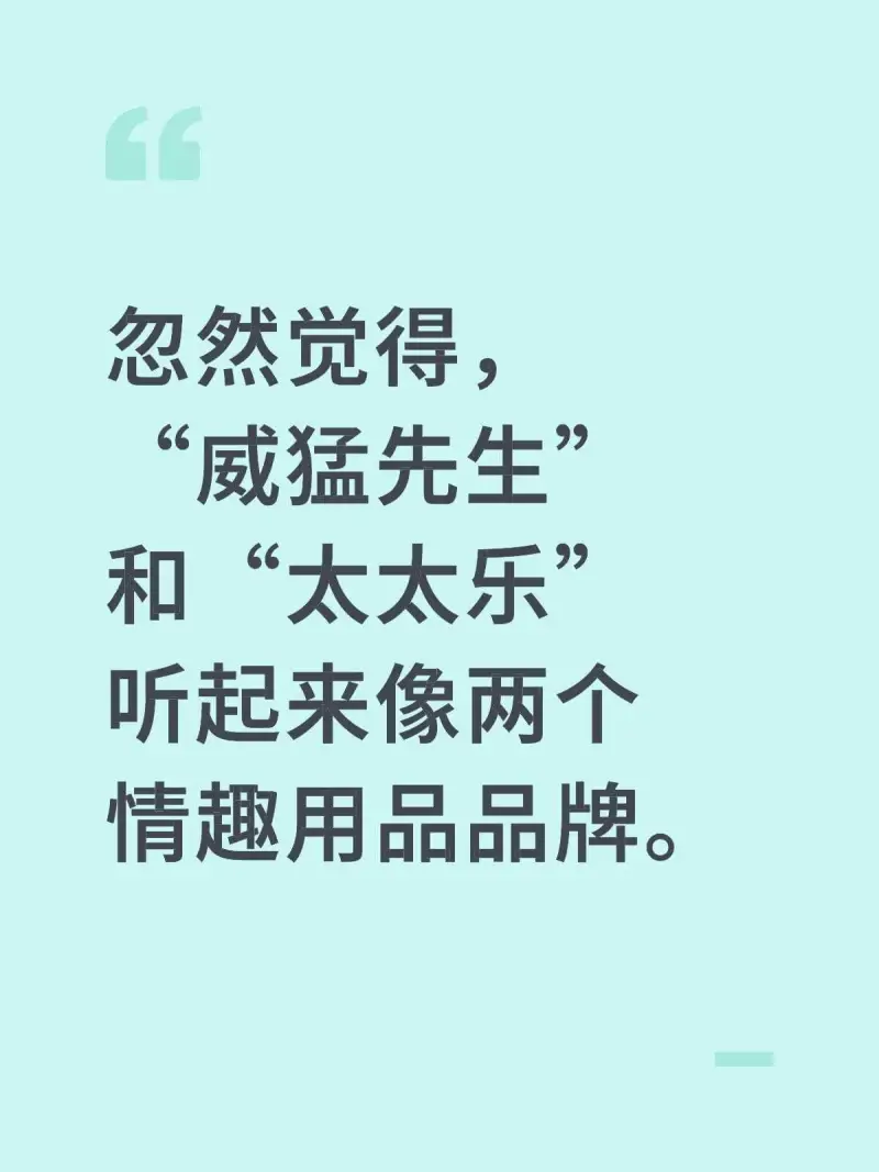 忽然觉得，威猛先生和太太乐听起来像两人情趣用品品牌。