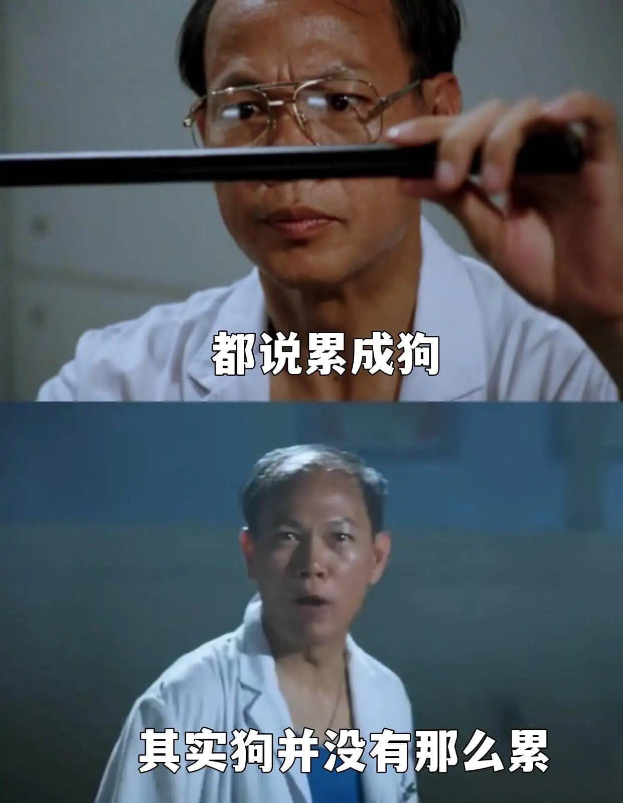 都说累成狗其实狗并没有那么累
