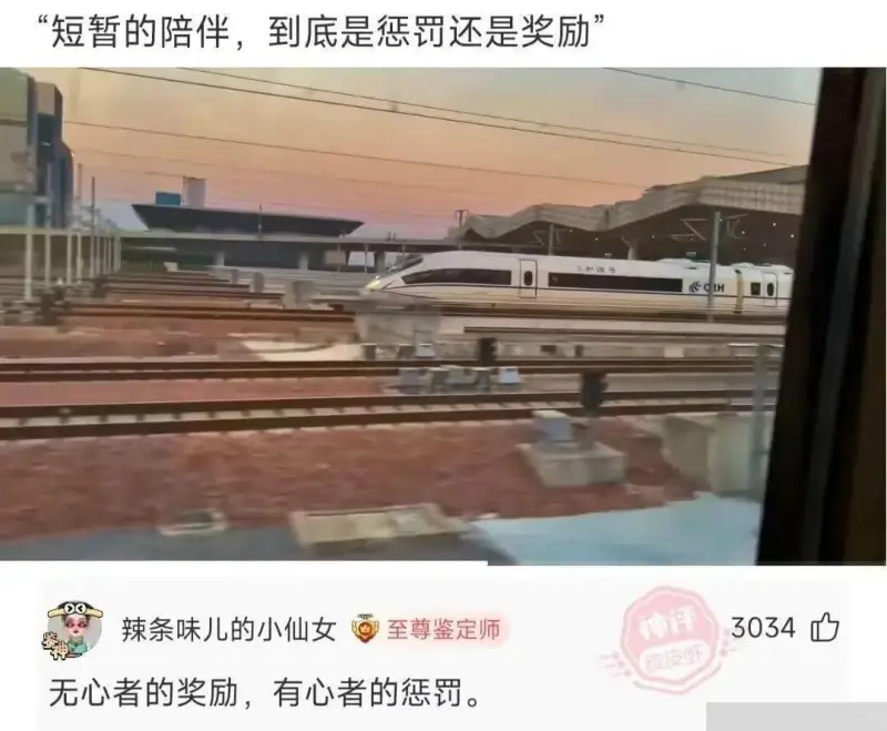 短暂的陪伴，到底是惩罚还是奖励辣条味儿的小仙女至尊鉴定师神评