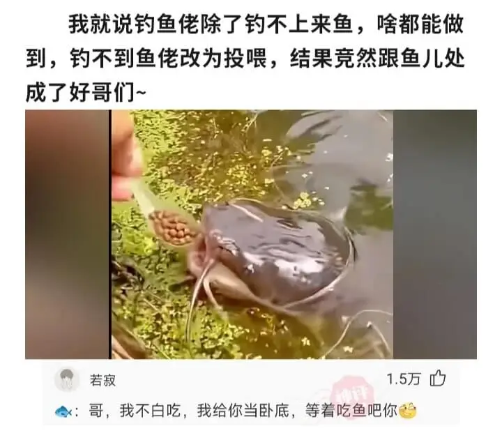 我就说钓鱼佬除了钓不上来鱼，啥都能做到，钓不到鱼佬改为投喂，