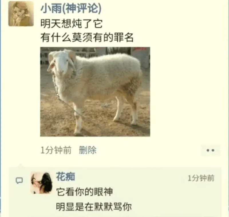 小雨（神评论）明天想炖了它有什么莫须有的罪名花痴它看你的眼神