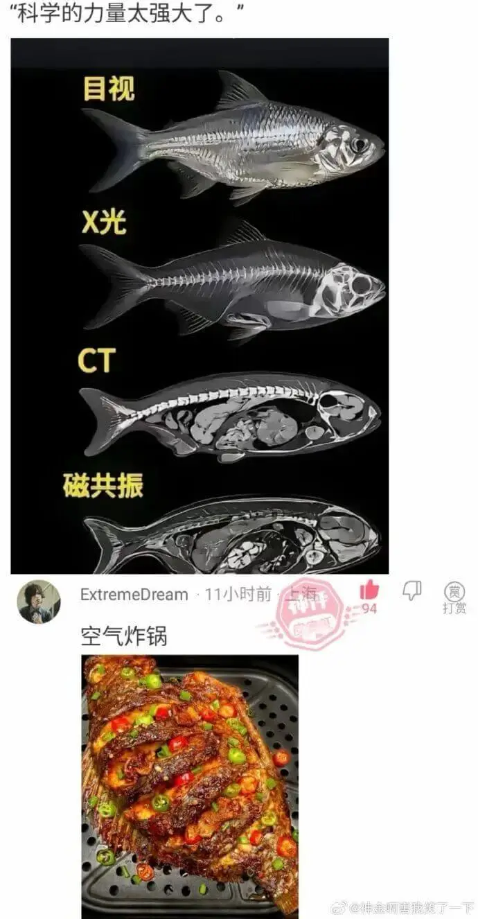 科学的力量太强大了。目视、X光、CT、磁共振。Extreme