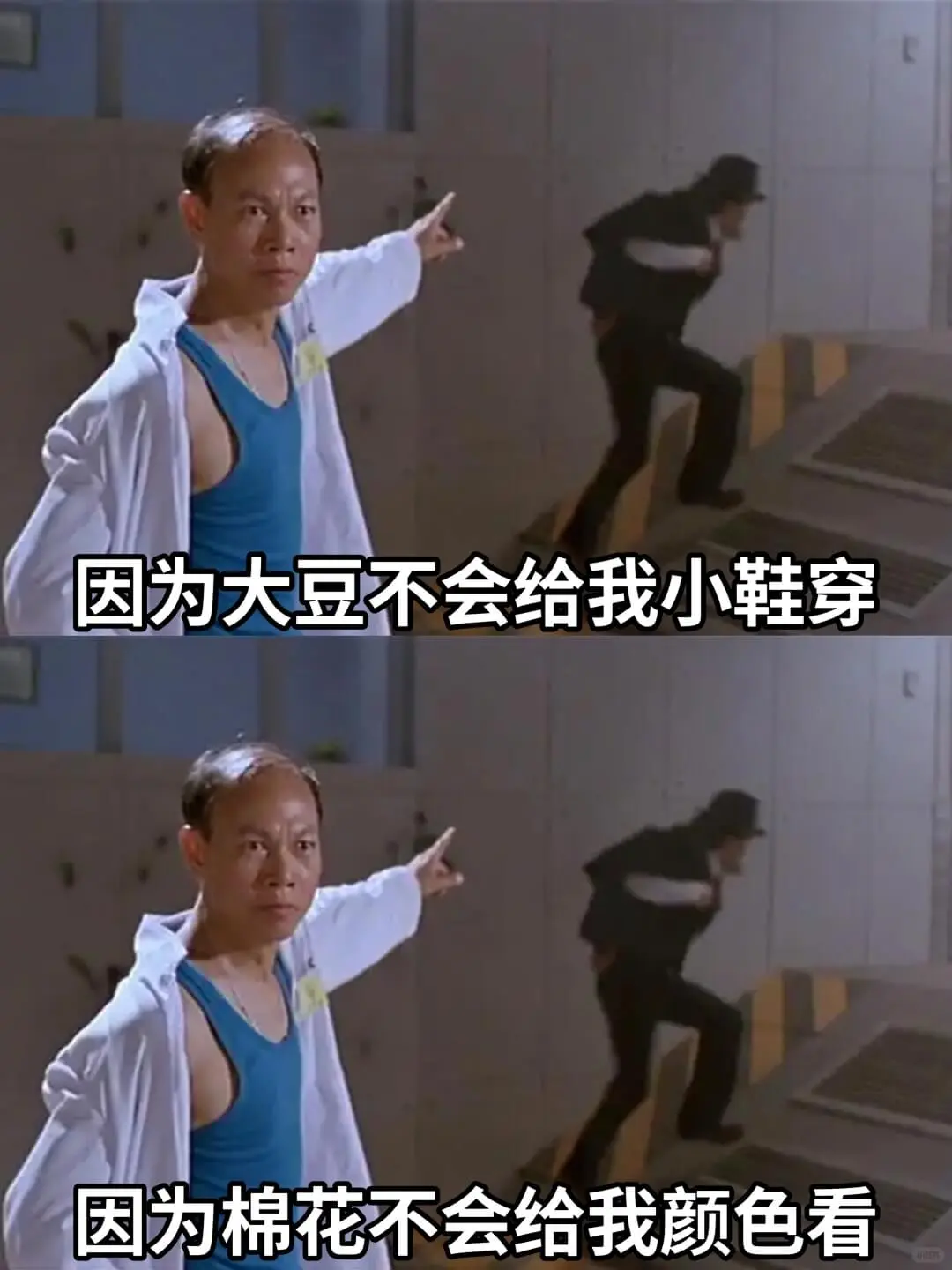 因为大豆不会给我小鞋穿因为棉花不会给我颜色看