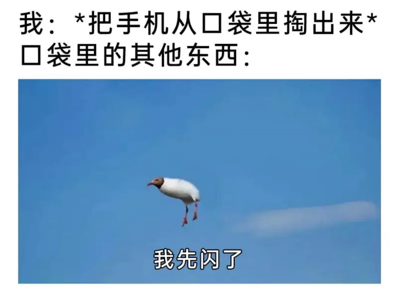 我：*把手机从口袋里掏出来*口袋里的其他东西：我先闪了